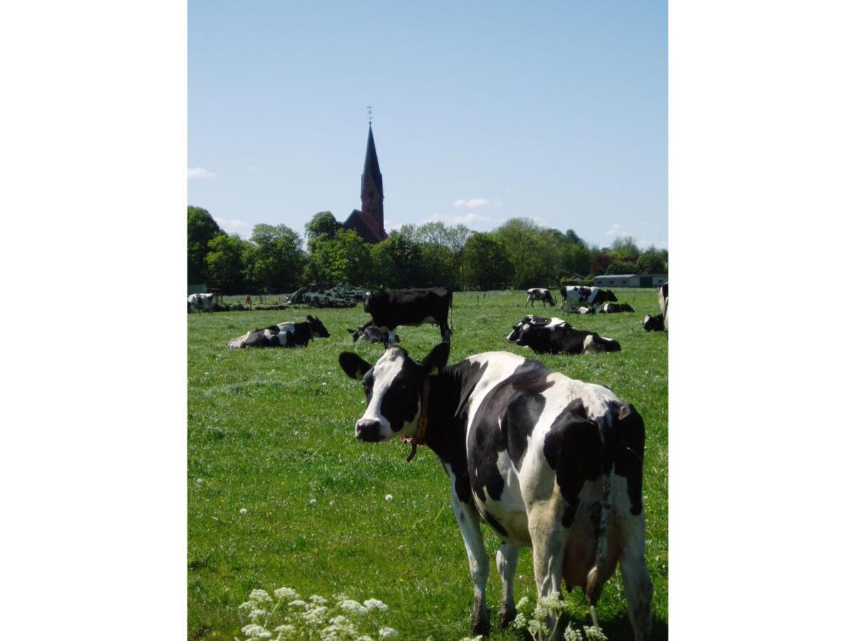 Ferienwohnung Hein Am Nordseedeich บุทยาดิงเงน ภายนอก รูปภาพ