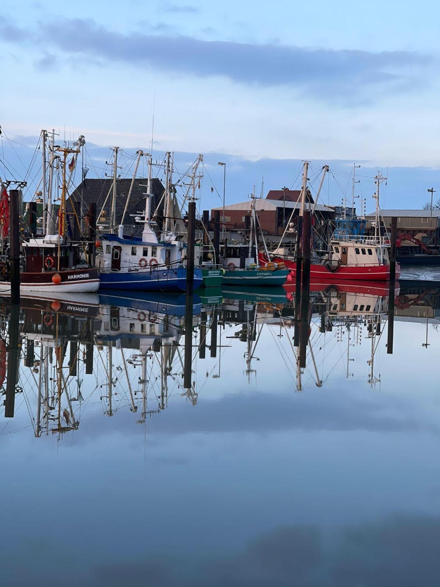 Ferienwohnung Hein Am Nordseedeich บุทยาดิงเงน ภายนอก รูปภาพ