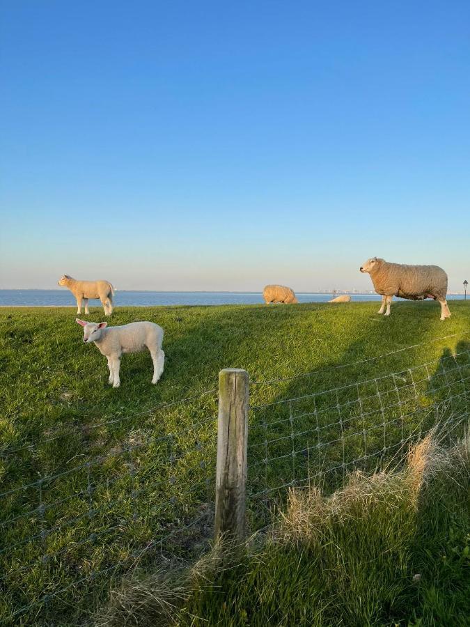 Ferienwohnung Hein Am Nordseedeich บุทยาดิงเงน ภายนอก รูปภาพ
