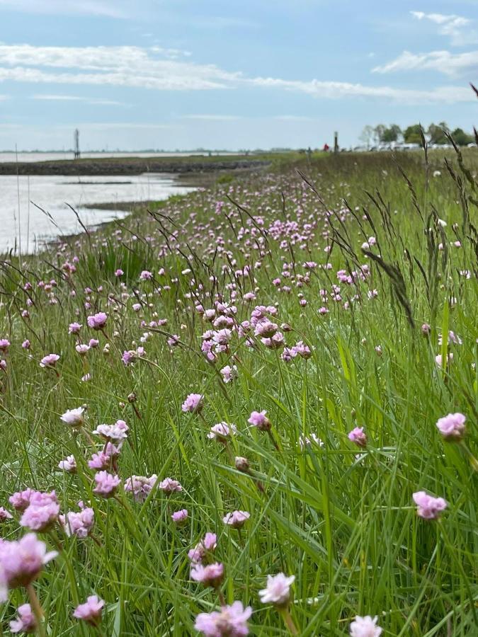 Ferienwohnung Hein Am Nordseedeich บุทยาดิงเงน ภายนอก รูปภาพ